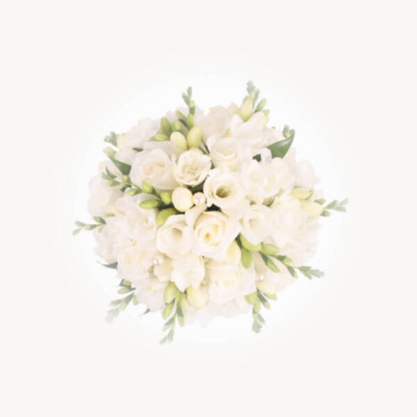Modesty & Gentleness - Image 3